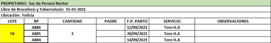 Lote Lote 59 Suc. de Perassi Nestor