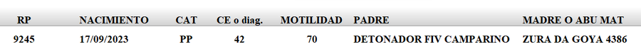 Lote LOTE 33