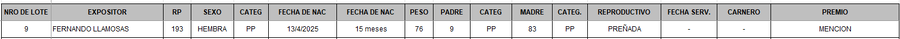 Lote LOTE 9 - BOZAL
