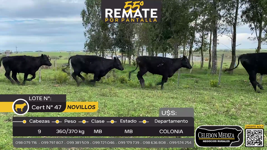 Lote 9 Terneros en Puntas del Rosario, Colonia
