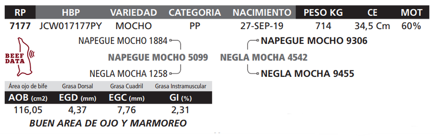 Lote LOTE 39