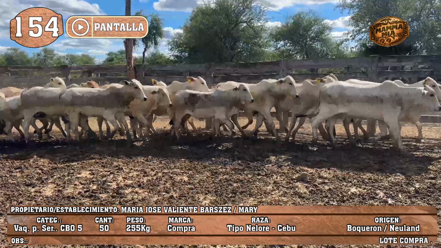 Lote LOTE 154 - PANTALLA