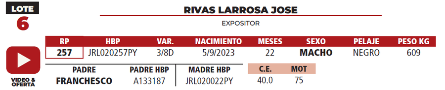 Lote LOTE 6
