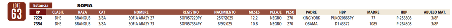 Lote LOTE 63