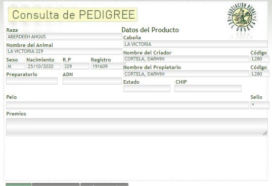 Lote TORO PI - RP 329