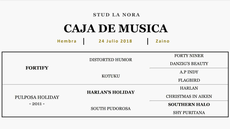 Lote CAJA DE MUSICA (FORTIFY - PULPOSA HOLIDAY)