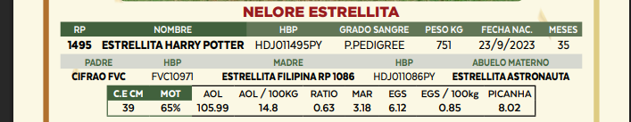 Lote LOTE 57