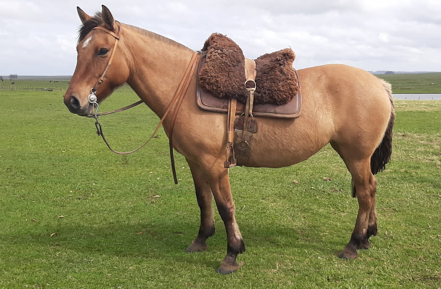 Lote Consuelo La California (RP 431) - Cabaña La California