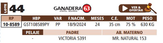 Lote LOTE 44