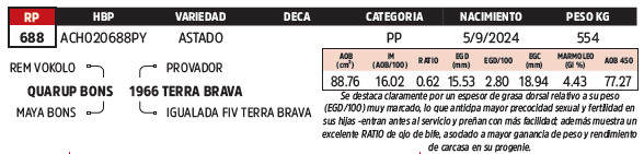 Lote LOTE 47