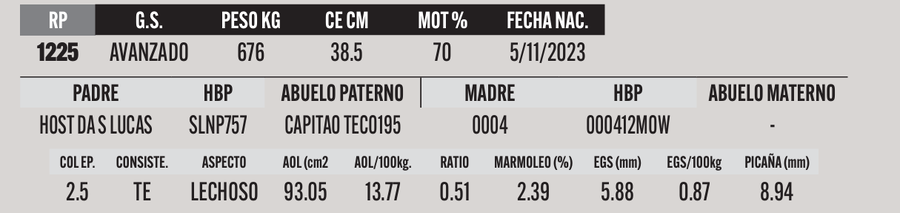 Lote LOTE 26