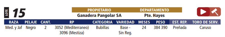 Lote LOTE 15