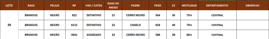 Lote LOTE 39