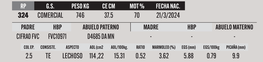 Lote LOTE 7