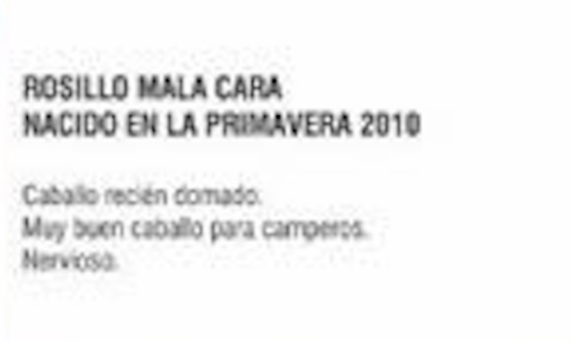 Lote ROSILLO MALA CARA