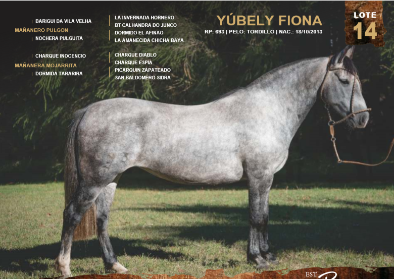 Lote YÚBELY FIONA