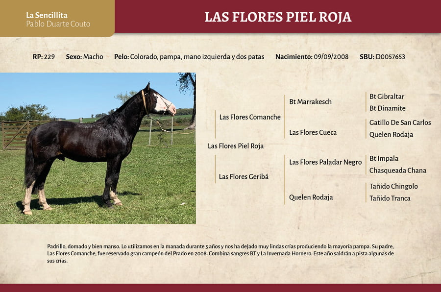 Lote Las Flores Piel Roja (229) - Cabaña "La Sencillita"