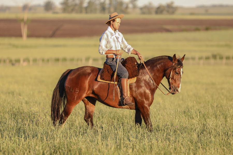 Lote DEL SILENCIO BARBARA