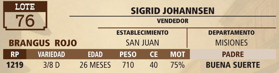 Lote LOTE 76 - VIVO