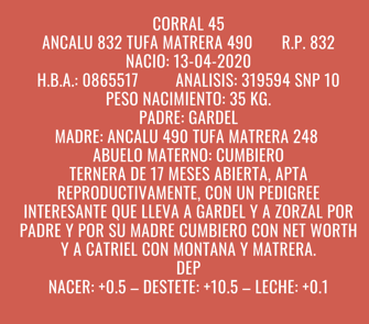 Lote TERNERA DE PEDIGREE ABIERTA(Corral 45)