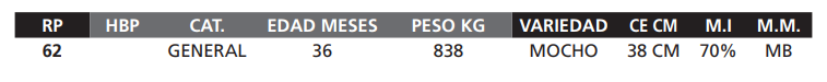 Lote LOTE 30