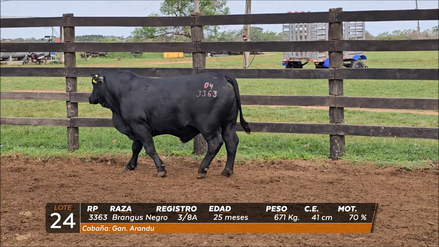 Lote Toro