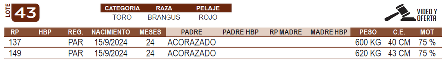 Lote LOTE 43
