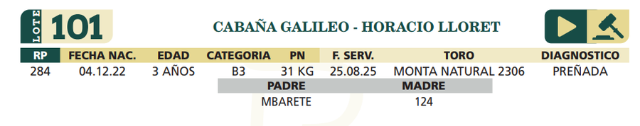 Lote LOTE 101