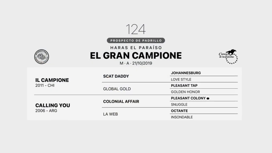 Lote EL GRAN CAMPIONE