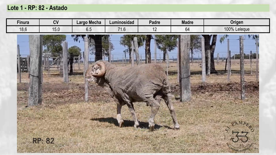 Lote Lote 1 - EL PAMPERO