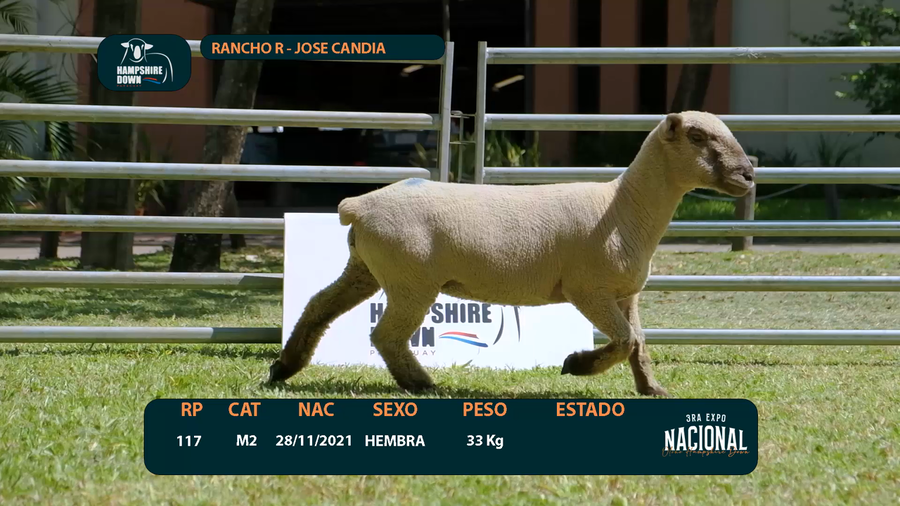 Lote LOTE 14  - CABAÑA R - RP 117