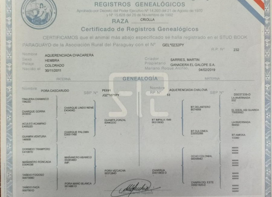 Lote LOTE 2 - DE CAMPO