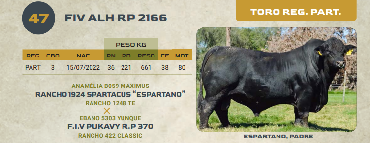 Lote LOTE 47