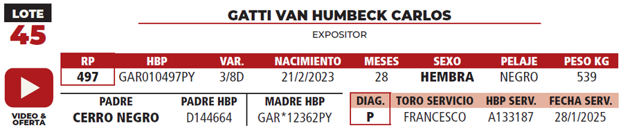 Lote LOTE 45