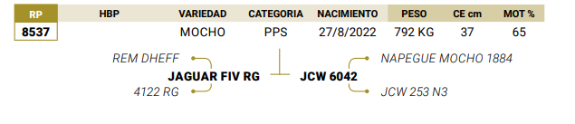 Lote LOTE 79