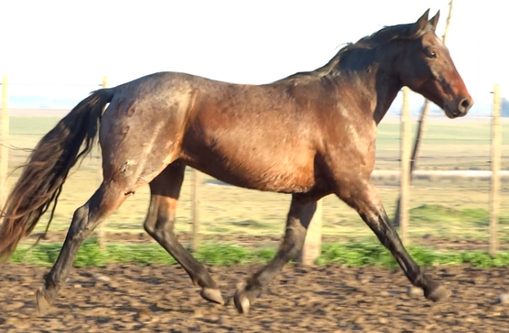 Lote KARETA LA INVERNADA