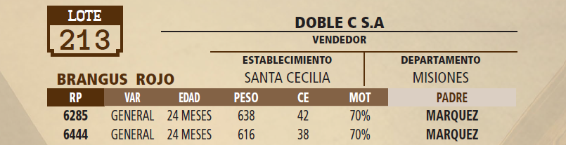Lote LOTE 213 - VIVO