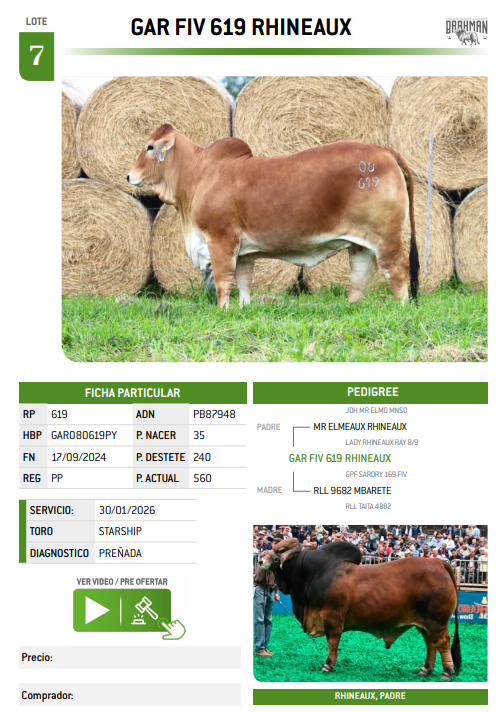 Lote LOTE 7