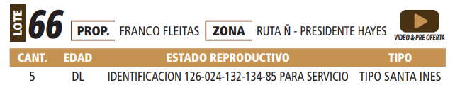 Lote LOTE 66 -POR PANTALLA