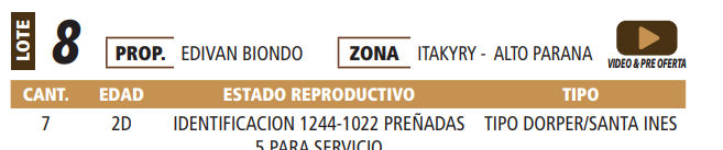 Lote LOTE 8 -POR PANTALLA