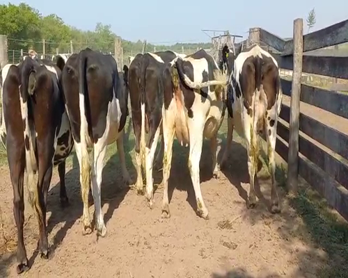 Lote Hugo Albertengo