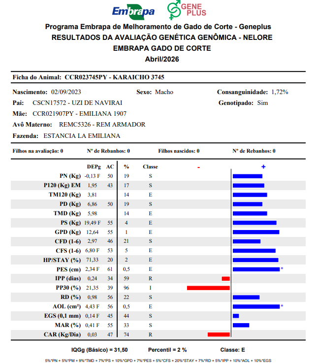 Lote LOTE 56