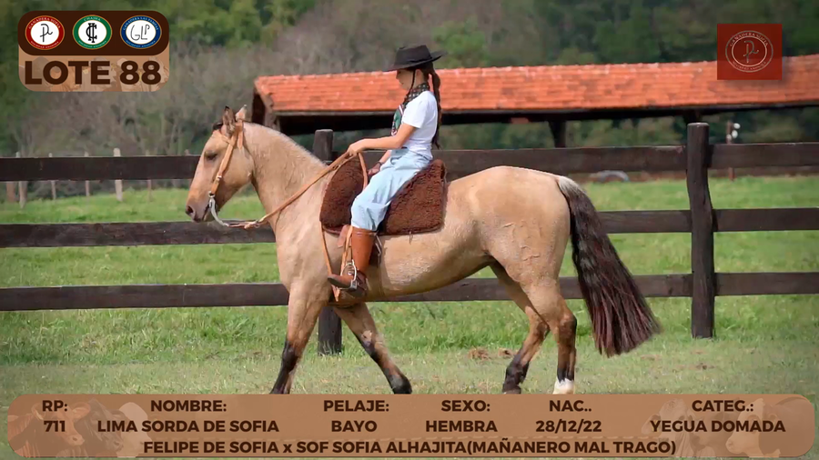 Lote LOTE 88