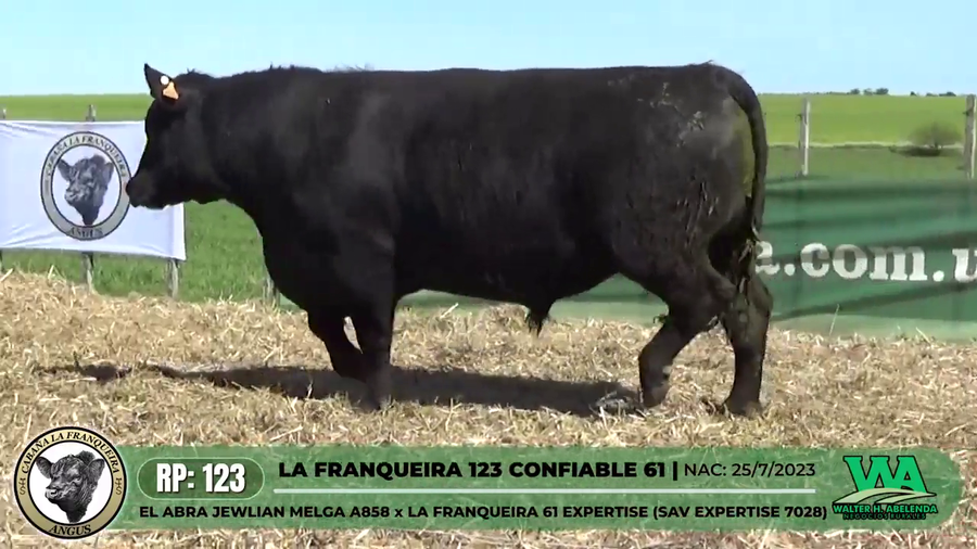 Lote LA FRANQUEIRA 123 CONFIABLE 61