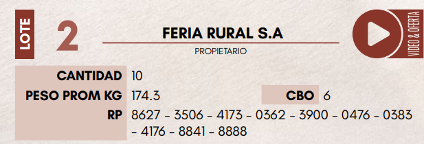 Lote LOTE 2 - HEMBRAS TIPO BRAFORD
