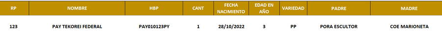 Lote LOTE 16