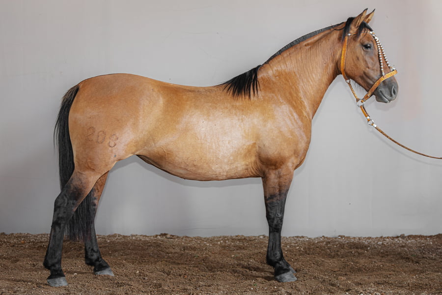 Lote Rincon Picardia - Cabaña La Higuera