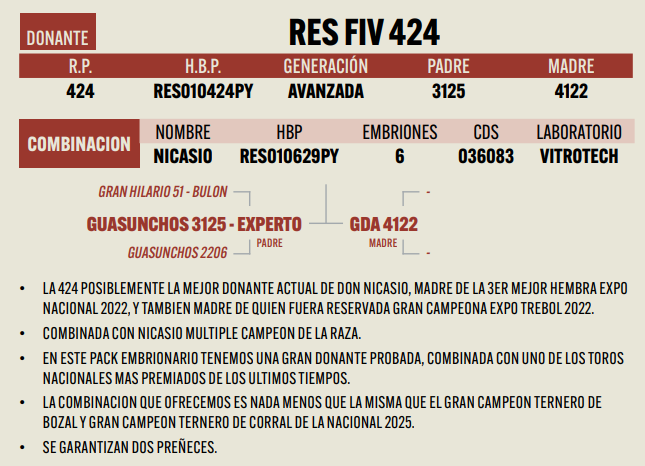 Lote LOTE 3