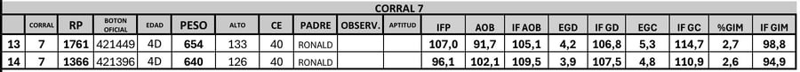 Lote 2 Toros PC