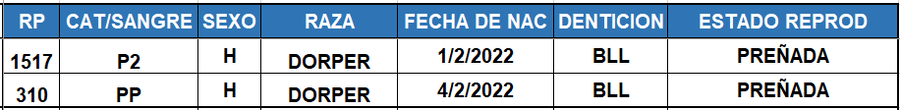 Lote LOTE 32